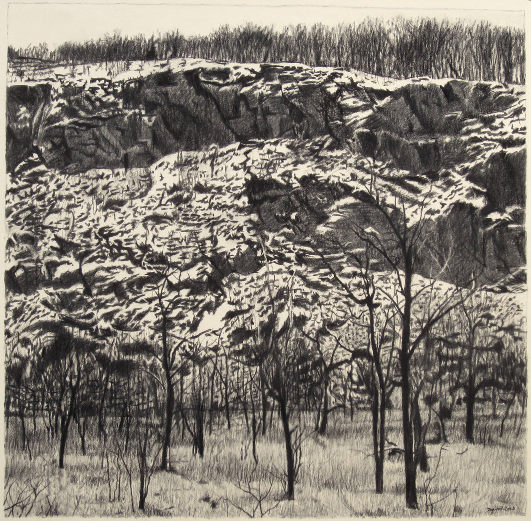 DLLDXVI: QUARRY IN THE SNOW
